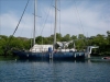 P1011784