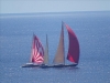 DSC00718