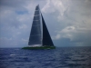 DSCI0065 (2)