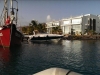 IMAG2639