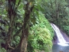 IMAG0986