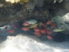 P3021050