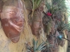IMAG0755