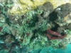 P3021026