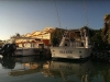 IMAG5711