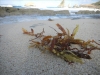 DSCN5776
