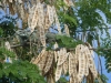DSCN6304