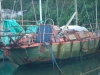 DSCN6581