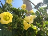 imag0235