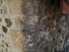 IMAG1477