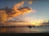 IMAG2274