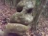 IMAG6701_1