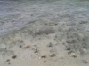 IMAG2075_BURST003