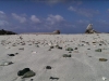 IMAG2150_BURST001