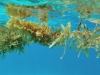 P5212423