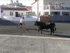IMAG0984