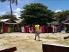 IMAG2341