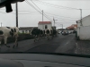IMAG0223