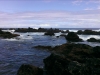 IMAG0250