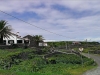 IMAG0262