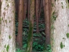 IMAG0339