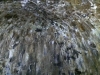 IMAG0440