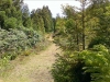 IMAG0458