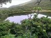 IMAG0499
