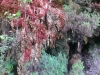 IMAG0501