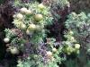 IMAG0516