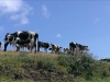IMAG0531