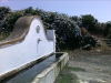IMAG0534