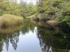 IMAG0589