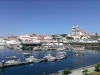 IMAG0776
